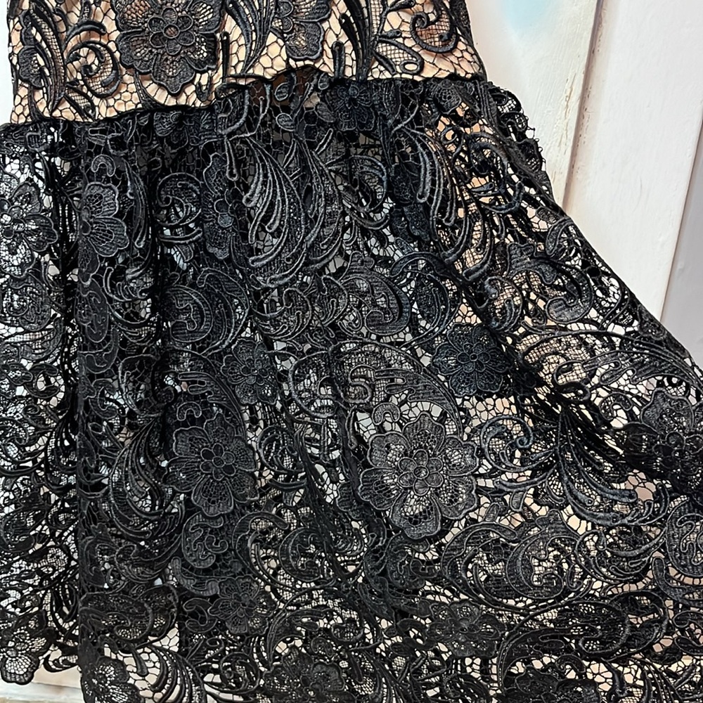 Dress the Population Sophia lace mermaid gown - Picture 14 of 15